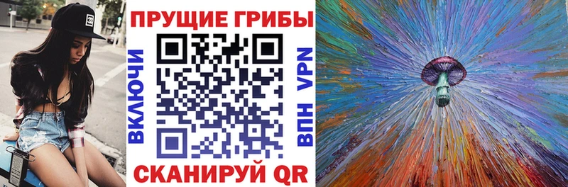 Псилоцибиновые грибы Cubensis  Киселёвск 
