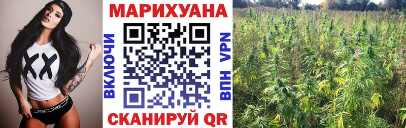 МАРИХУАНА конопля  Киселёвск 